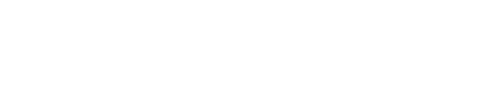 PIP Chemicals Company Logo
