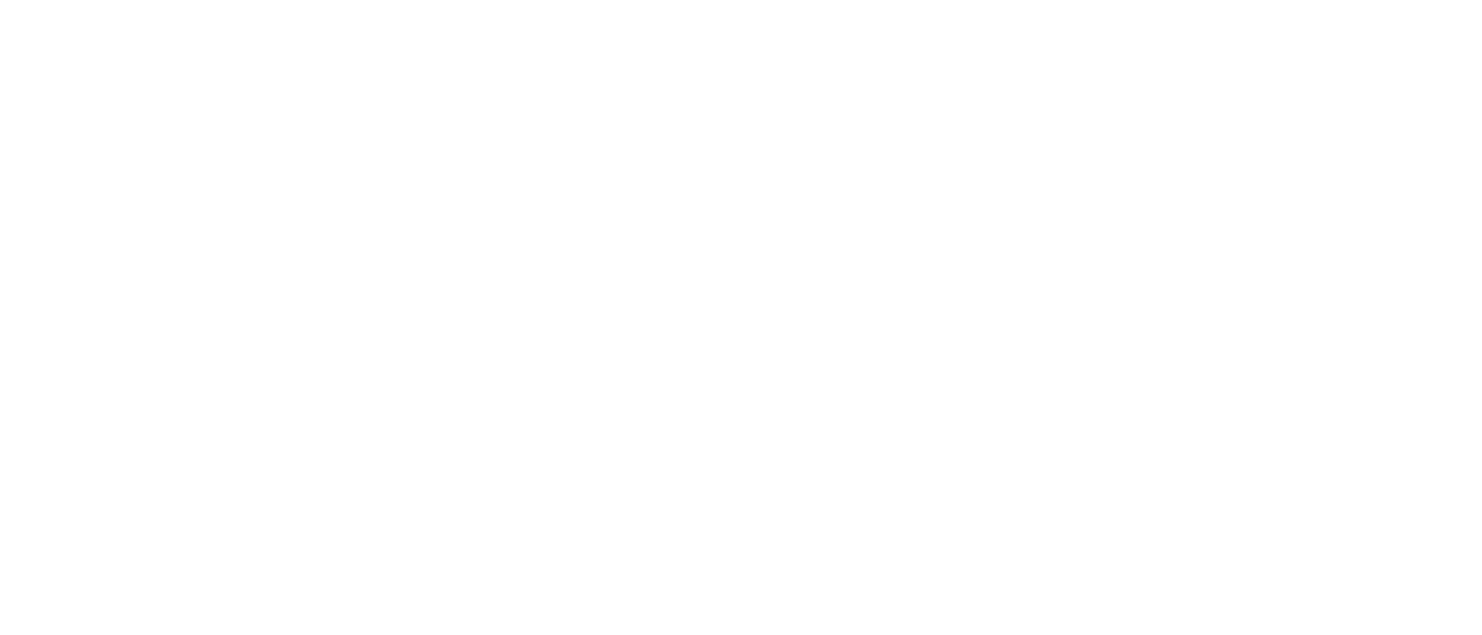 PKF-FPM Company Logo