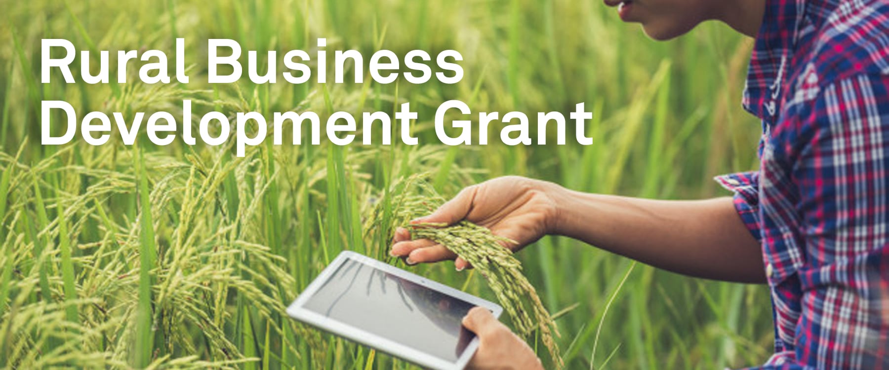 £1million Rural Business Development Grant Scheme offering 50% funding towards E-Commerce Websites Image