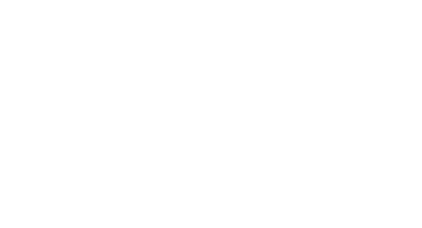 FSL Electronic Company Logo