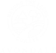 Beyond the Trees Company Logo