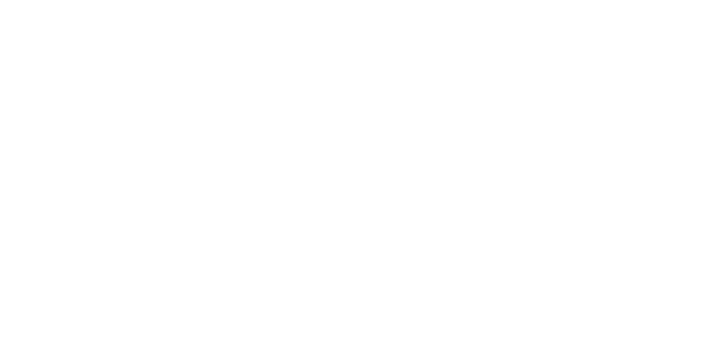 Faster Project Company Logo